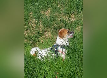Lustige MONA sucht eine liebevolle Familie