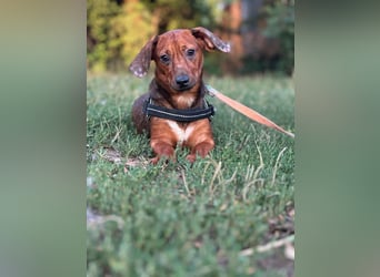 Helga, geboren 01.03.2025 sucht ihren Neuanfang