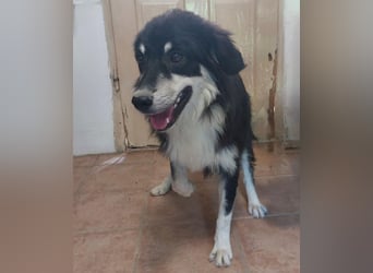 LeeLoo braucht ganz viel Liebe