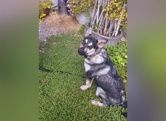 Aktive Tina sucht ihre eigene Familie
