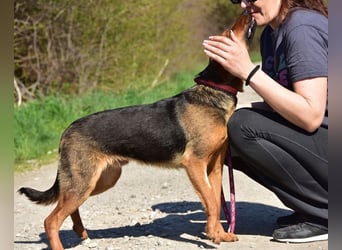 Bobko ist ein entspannter, lieber Hund