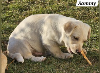 Kleiner Sammy freut sich auf Deinen Besuch
