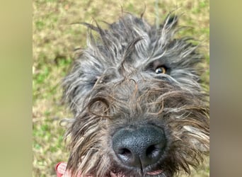 Smokey braucht Liebe