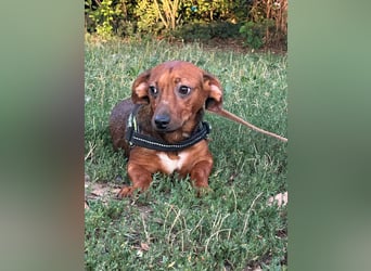 Helga, geboren 01.03.2025 sucht ihren Neuanfang