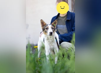 GLORIA - der Name ist Programm (Ukraine)