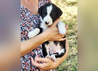 Kleiner Rocky ❤️ will die Welt erkunden!