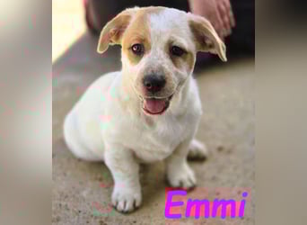 Emmi 01/2025 (ESP) - verschmustes und neugieriges, bezauberndes kleines Mädchen!