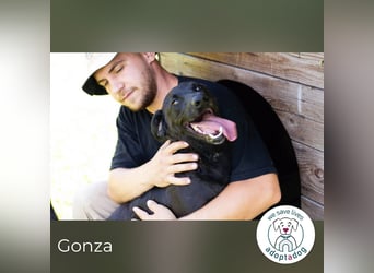 Gonza – Bewegungs-Fan sucht Nähe