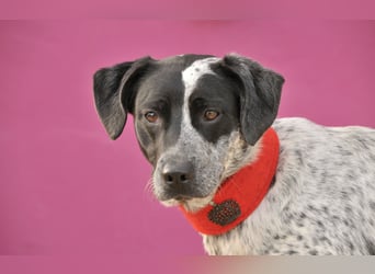 Zeigen Sie Dotty ein Leben inmitten einer Familie?