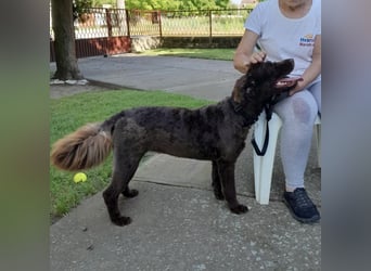 Zara ein dankbarer Schatz