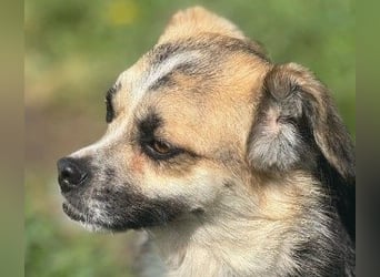 Unsere bezaubernde Polly sucht ihre Familie