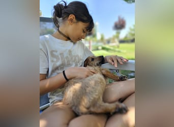 FELIPE ❤️ kleiner Charmeur