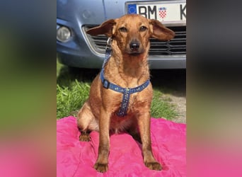 Rita ♥️ Pflegefamilie 41812 Erkelenz