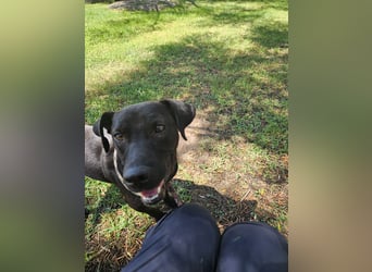 Lucignolo: einfach nur Zucker