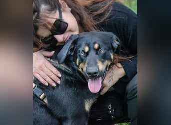 Yamy – unkompliziert und temperamentvoll