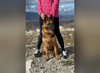 Karma hat das Schicksal zu uns geführt 