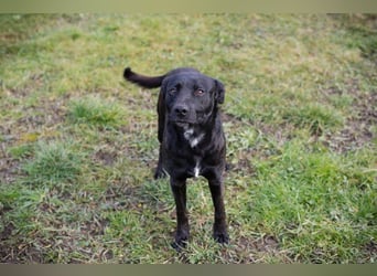 Fritzi: sucht dich!