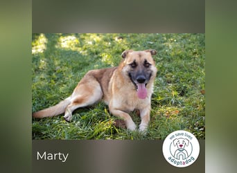 Marty sucht seine Menschen