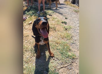 Frohnatur Marley