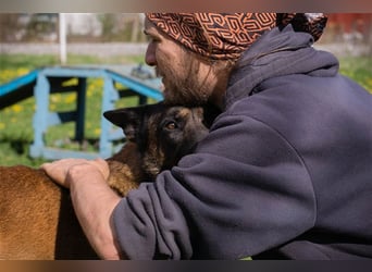 OLLI - der aktive, sportliche Herr sucht Herrchen oder/und Frauchen zum "arbeiten"