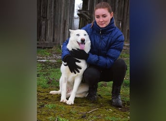 Angyal liebt Wanderungen und Aktivität