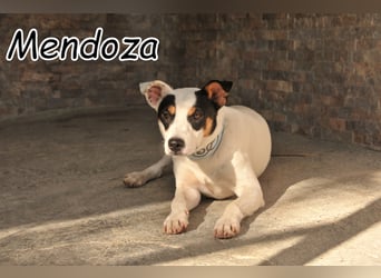 Beschreiten Sie mit Mendoza die Abenteuer des Lebens?