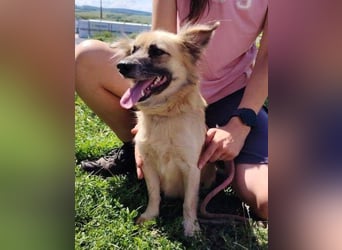 KIKA 2 soll es endlich schön haben
