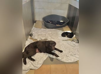Kleine Alma sucht ihr großes Glück!