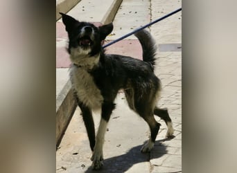 Jesika, freundlich, aufgeschlossen, neugierig