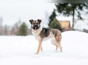 Zärtliche Luna sucht ihre Familie