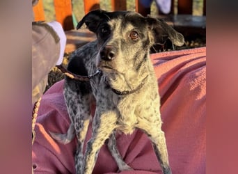 liebenswerte Peggy