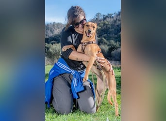 Ciana – sucht liebevolle und geduldige Menschen