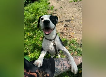 Amara sucht geduldiges Traumzuhause