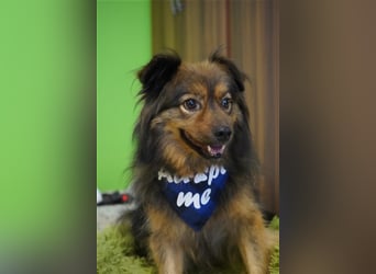 Buddy-SR, möchte dein Freund werden