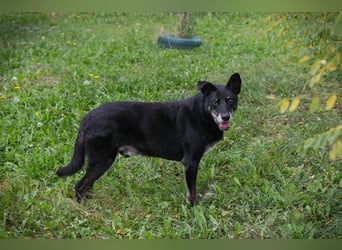 Miky: Sucht dich!