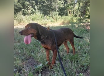 Missy braucht Liebe