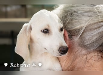 Roberta und Robbie, f.,  suchen eine Familie