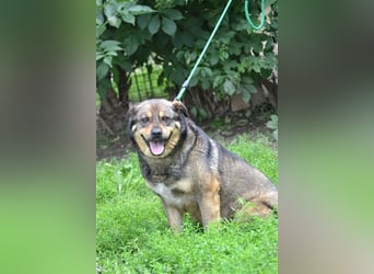 Flora SI - Ältere Lady möchte endlich nach Hause!