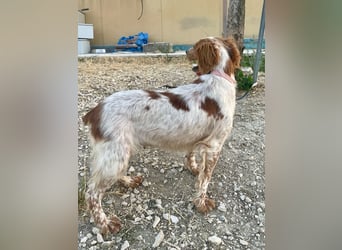 Linda, sucht ihre Familie