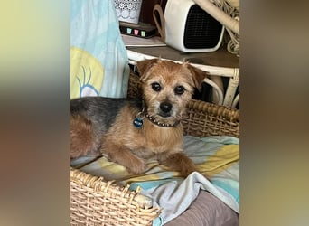 Micky ist ein Traumjunge und liebt das Leben