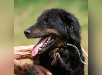 Zeyko