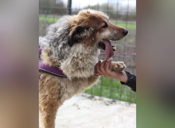 Pipi möchte endlich gesehen werden