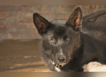 Haben Sie Lust auf ein gemeinsames Leben mit Bablo?