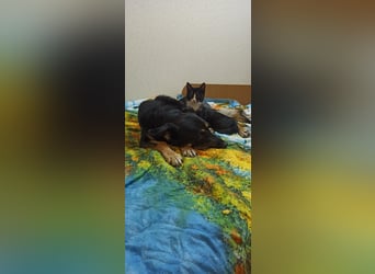 Wunderbare Michelle sucht genau dich!