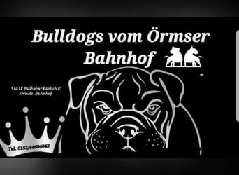 Big Boy Bruno Vom Örmser Bahnhof sucht sein Zuhause