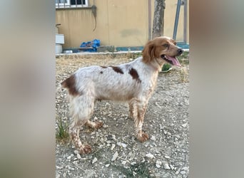 Linda, sucht ihre Familie