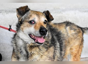 Maikin - Schnuffel schnuffel Körbchensuche