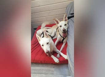LILI und LOLI, Schwesternpaar in Süddeutschland