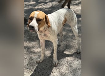 Cooper, hofft auf eine Chance