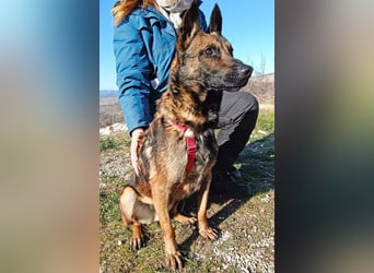 Lio - Best Buddy gesucht!